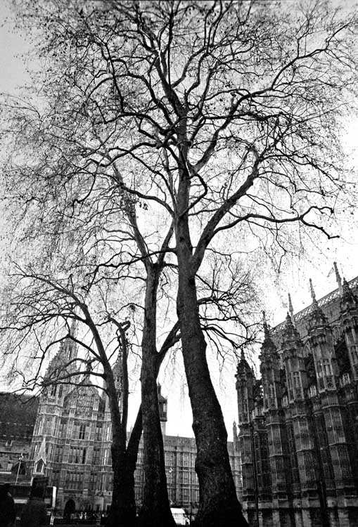 Londra 014 .JPG