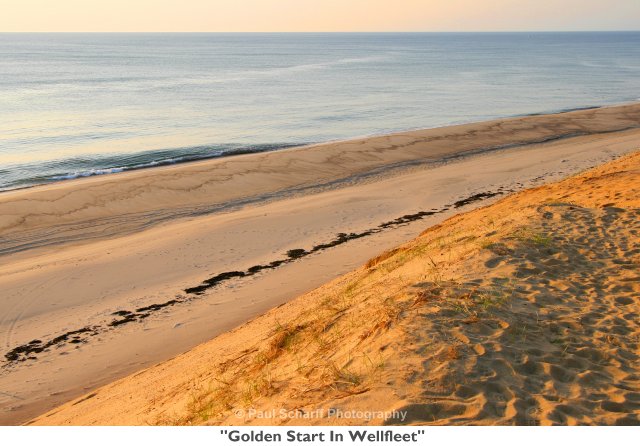 199  Golden Start In Wellfleet.jpg