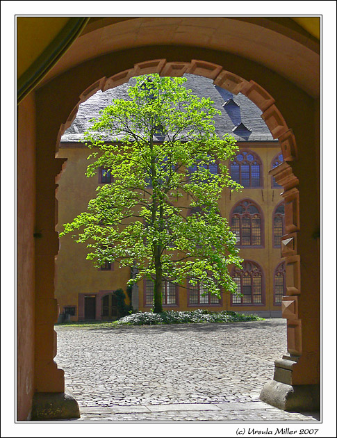 Yard of the Old University