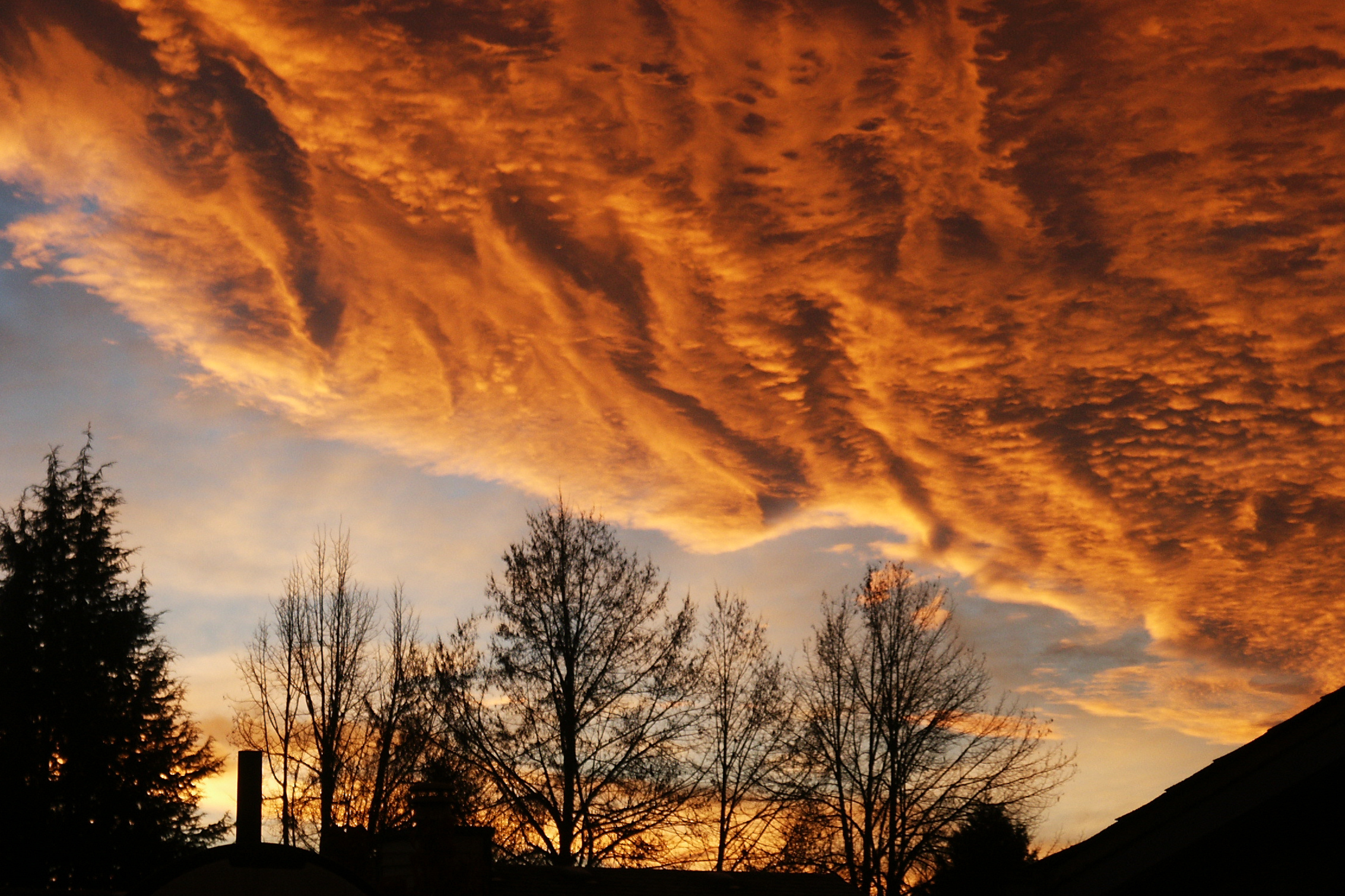 Thanksgiving Sunrise
