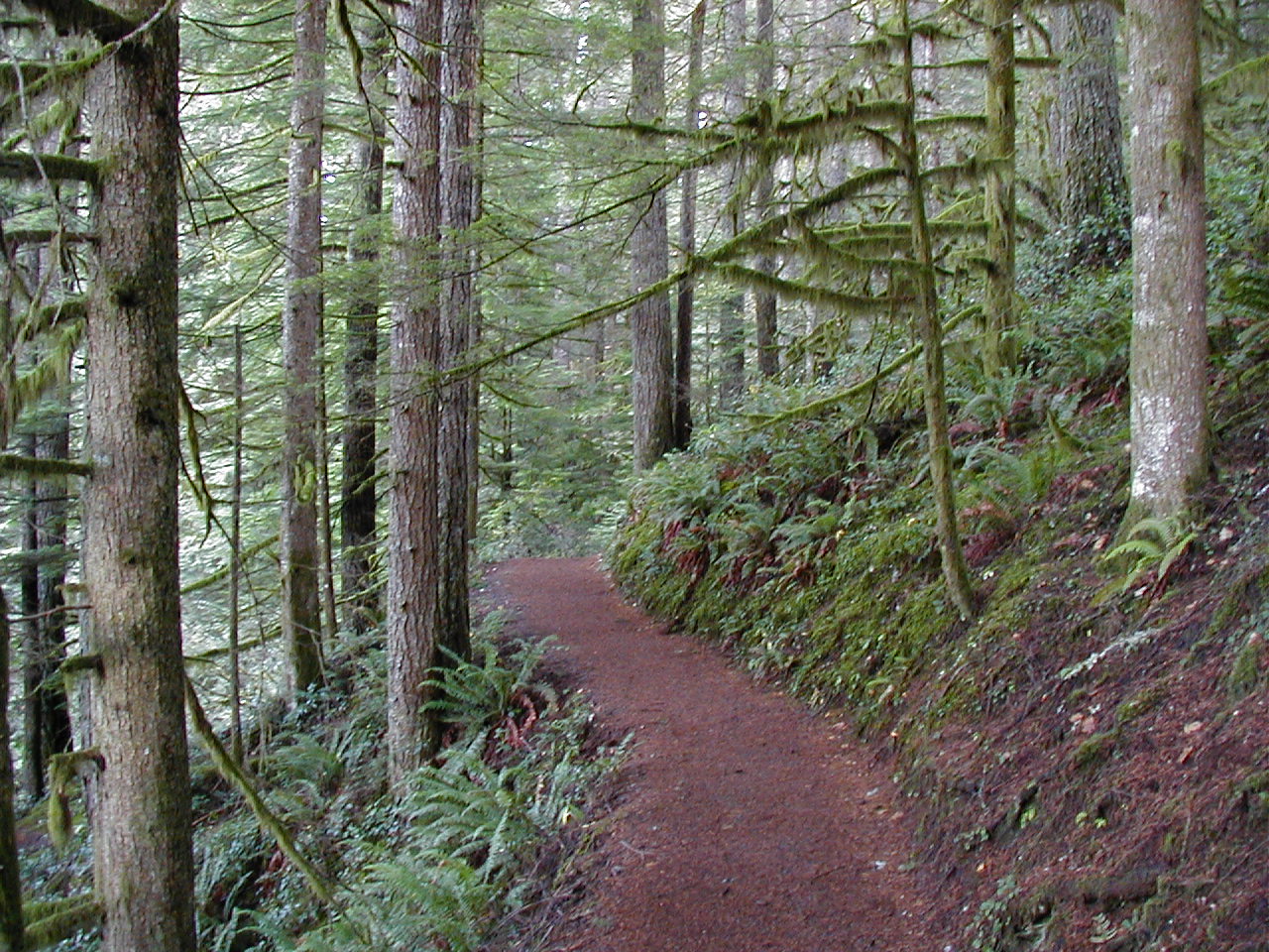 Hiking Trail Oregon