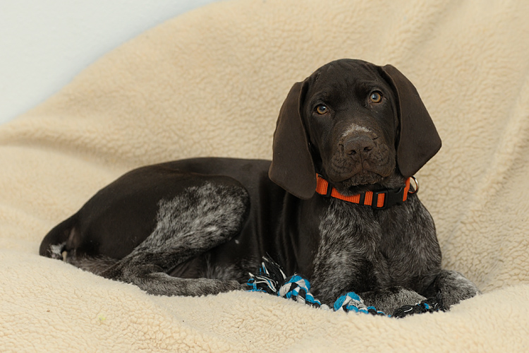 Grace-14 weeks