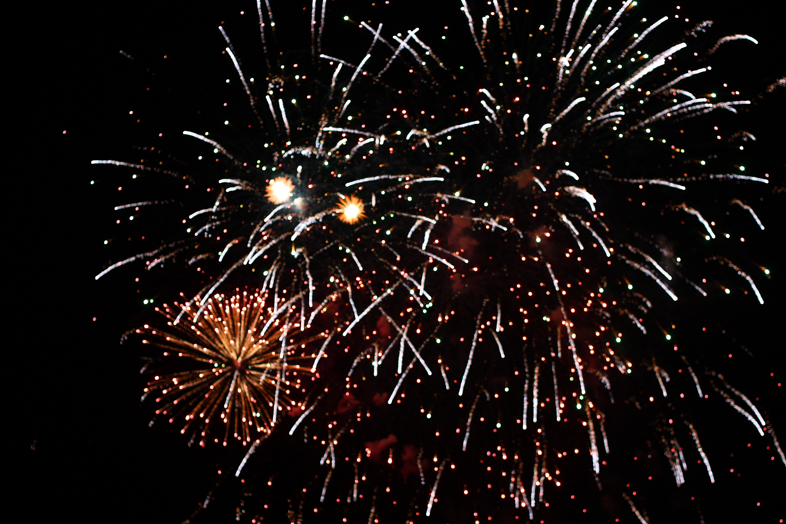 Carnevale di Ivrea 2009 10.JPG