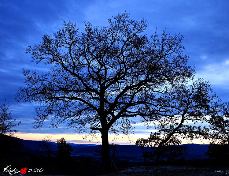 Casentino sunset