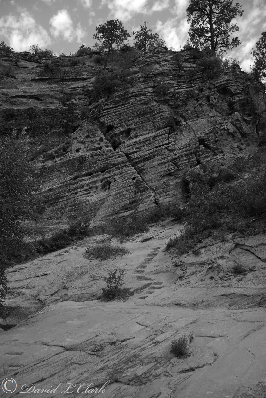 Zion National Park