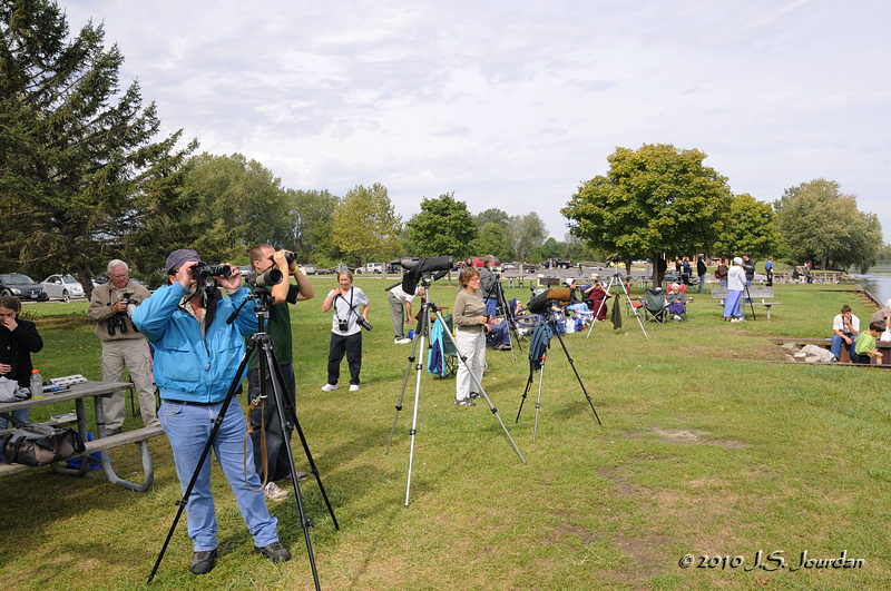 HawkFest2010_5724b.jpg