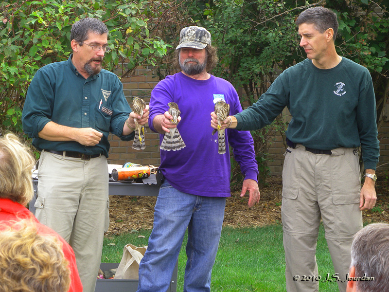 HawkFest2010_8731b.jpg