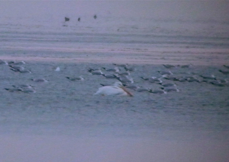 DSCN6098.JPG
