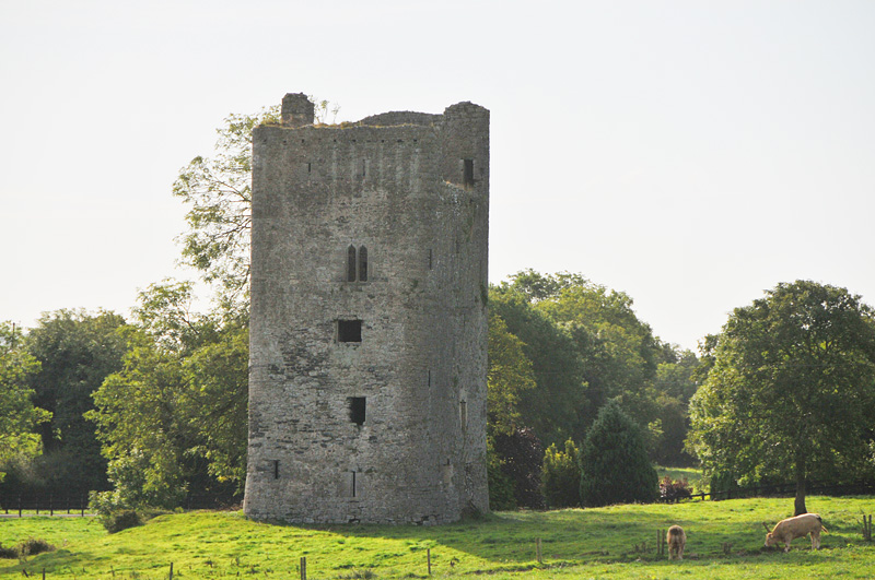 011_1067Limerick_Tullamore.jpg