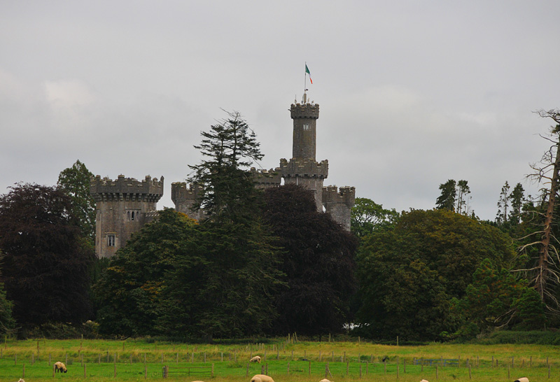 011_1083Limerick_Tullamore.jpg