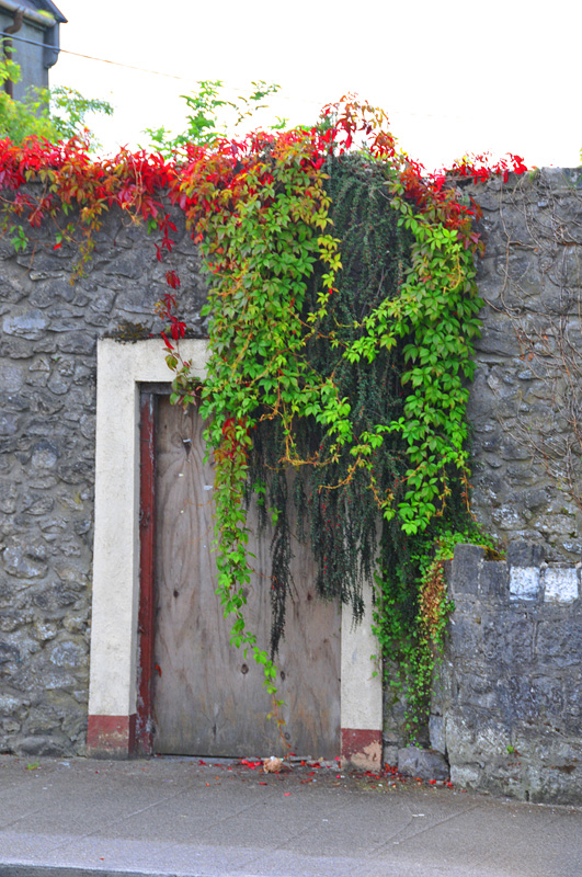 011_1111Tullamore.jpg