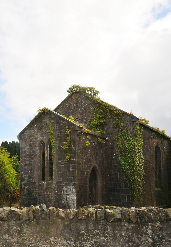 011_1133Tullamore_Cabra.jpg