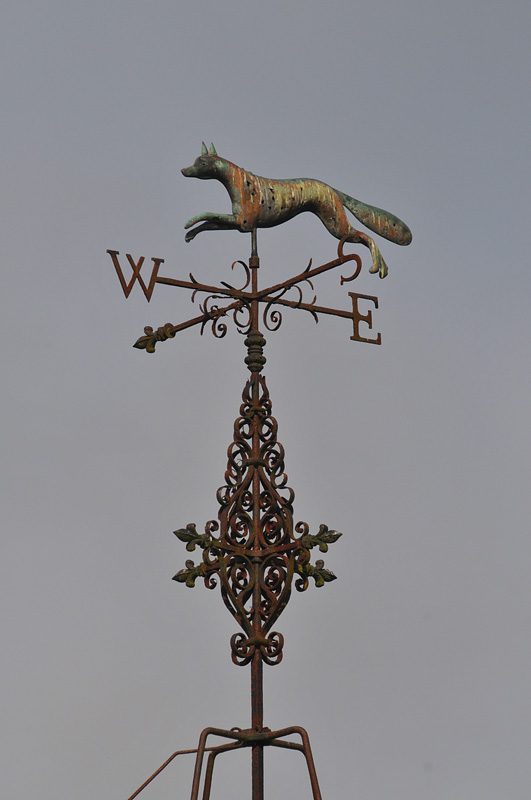 011_1238Cabra.jpg