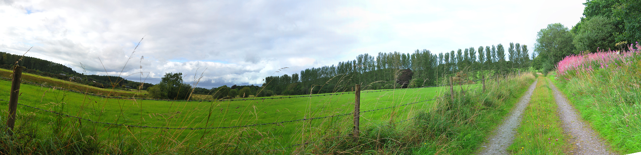 011_1285_1304Cabra.jpg