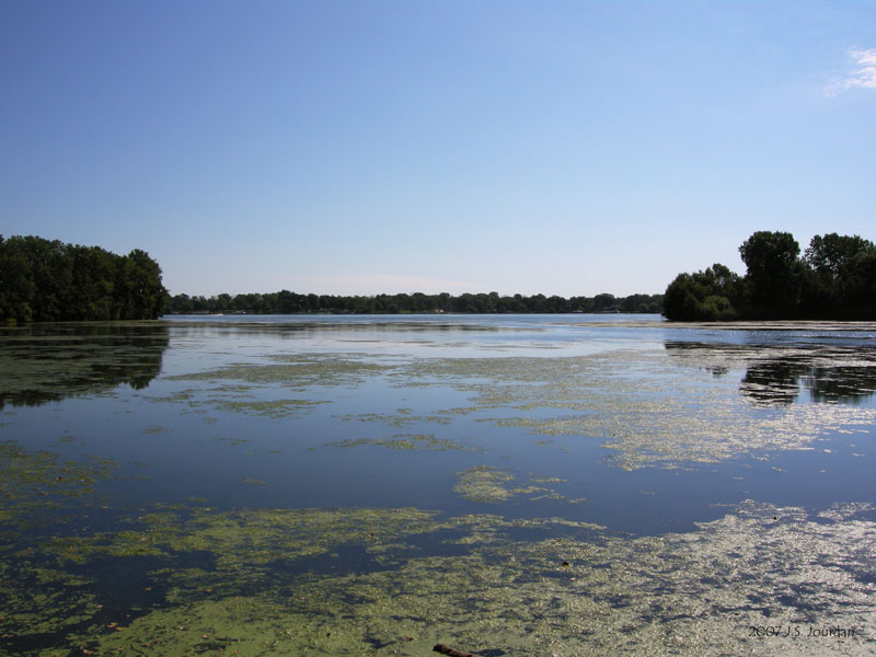 HumbugMarsh1130b.jpg
