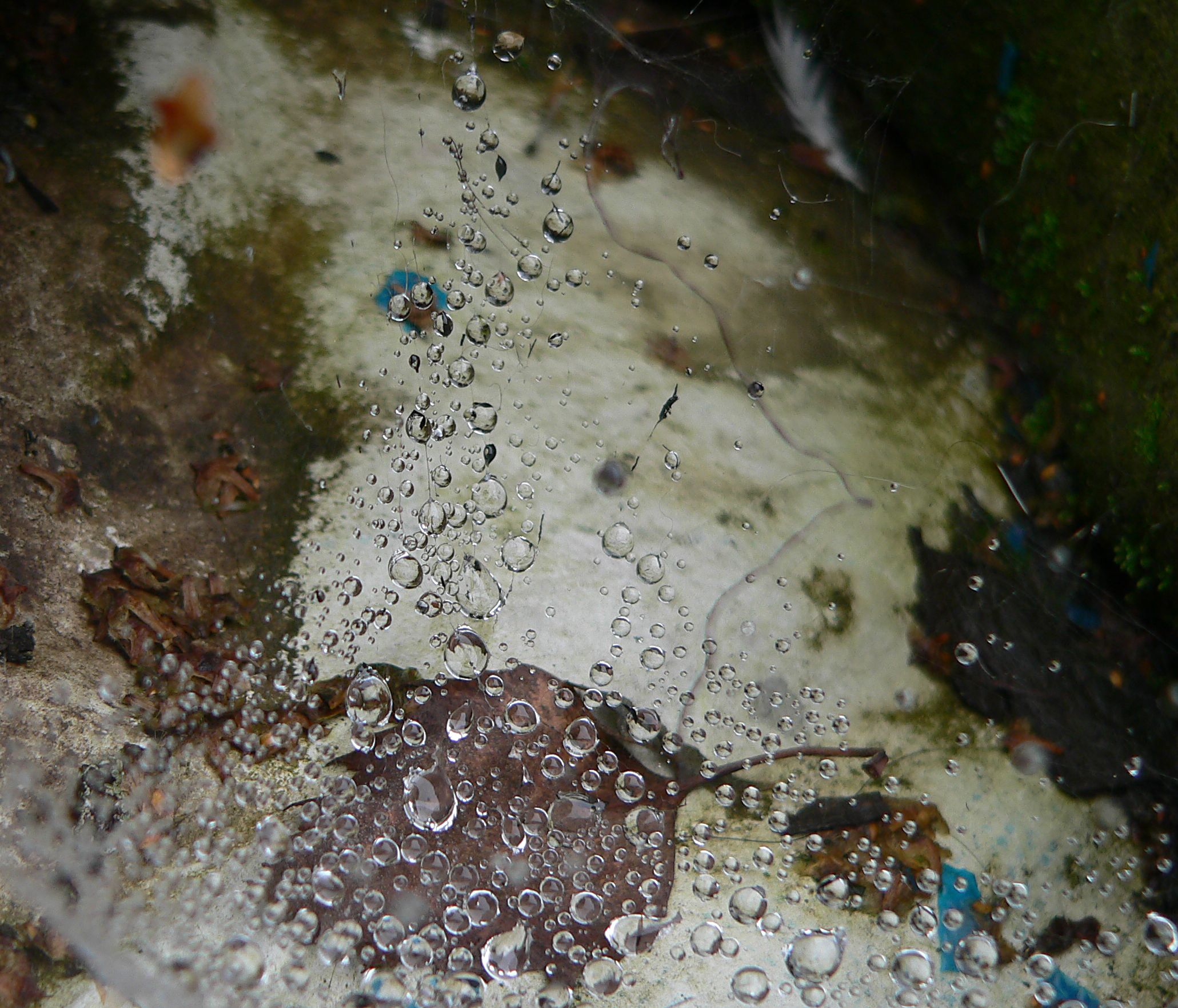 some drops