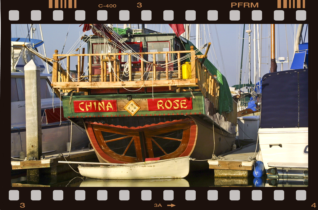 The China Rose