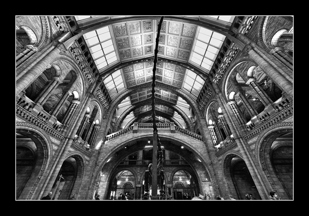 Natural History Museum (EPO_7340)