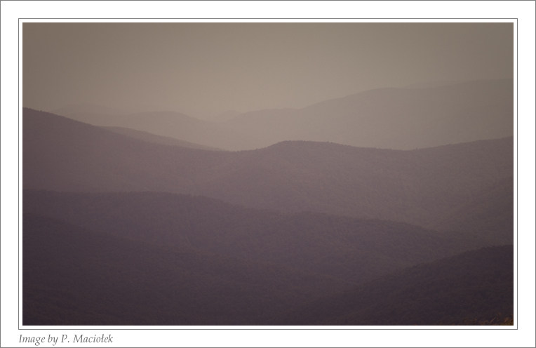 P8040270-2.jpg