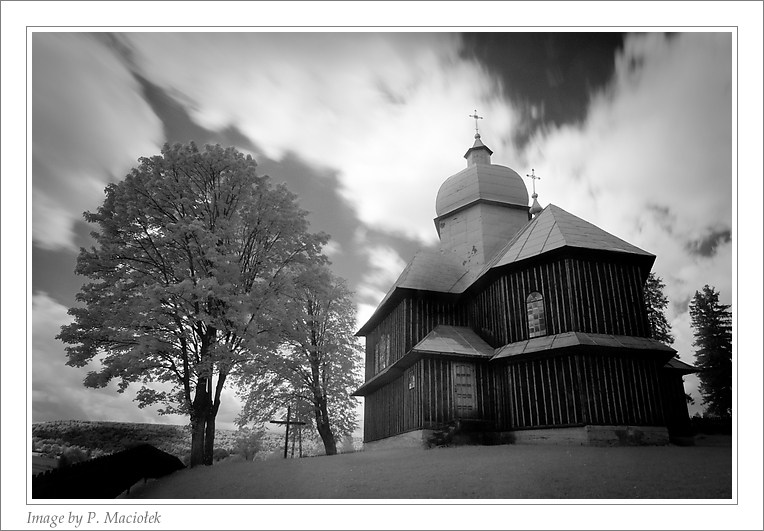 P8050326-Edit.jpg