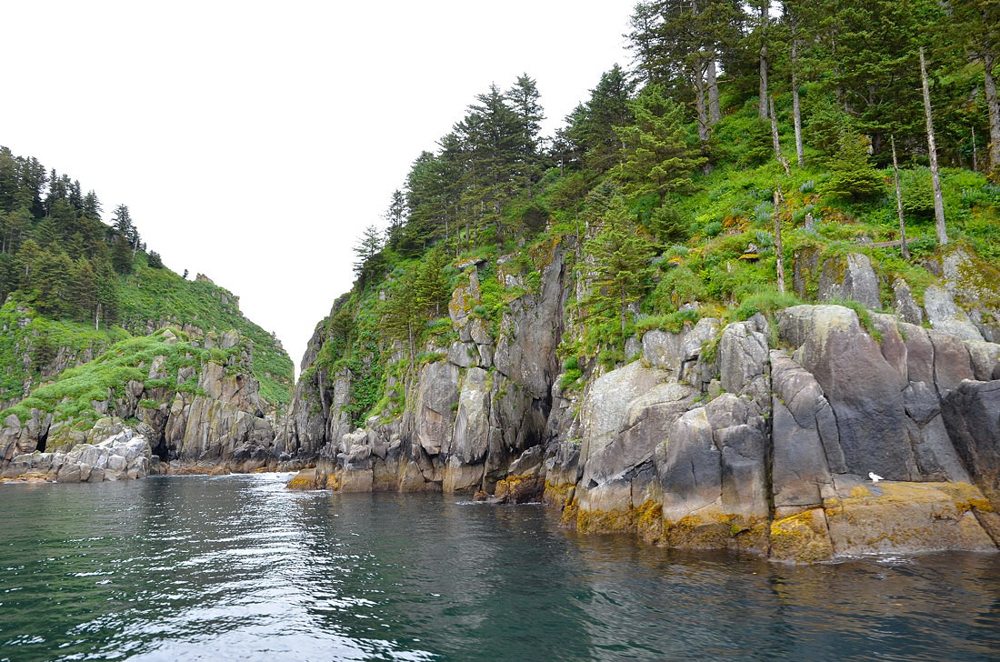 Kenai Fjords N.P. AK