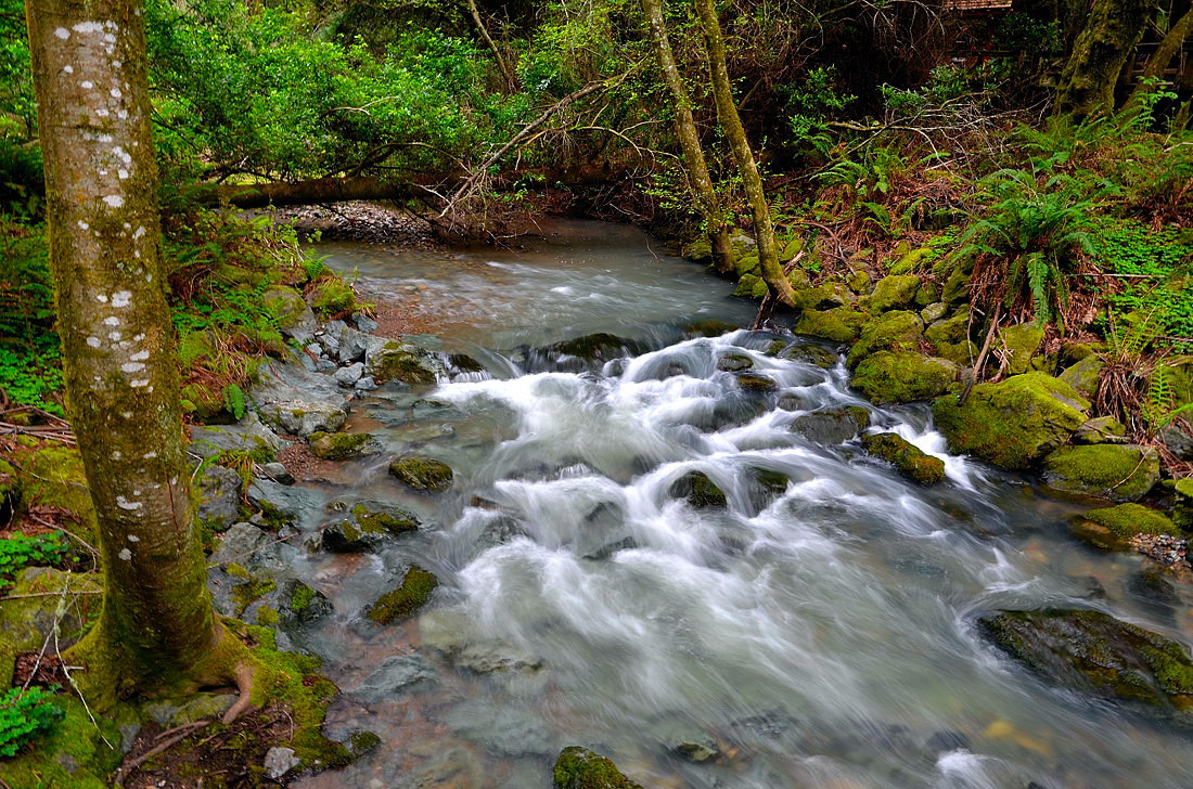 s_AA72609_01_01.JPG