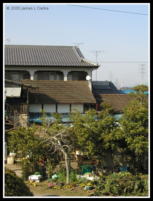 A Backyard