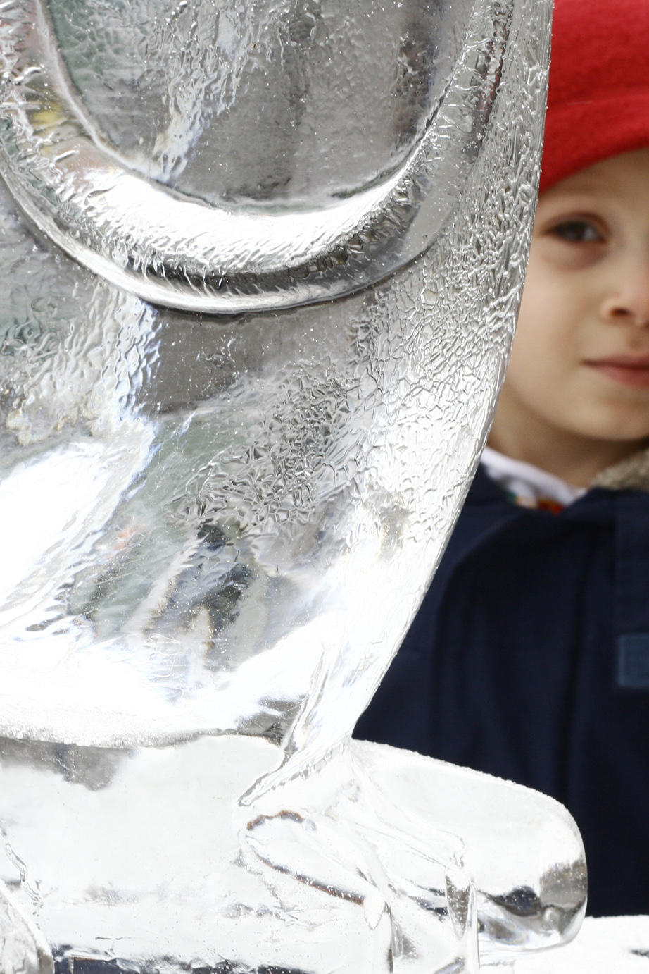 Ryan looks at ice sculpture