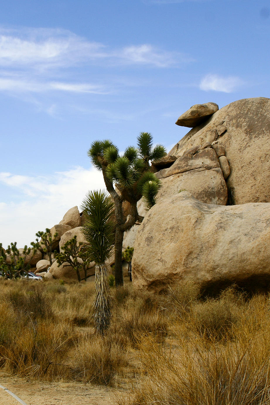 Cap Rock