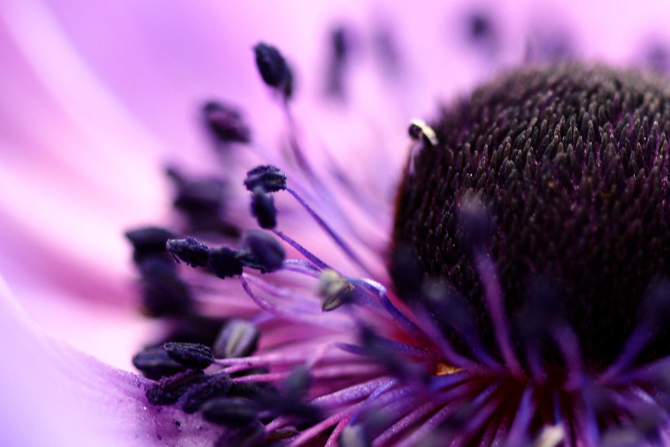 focus on beauty