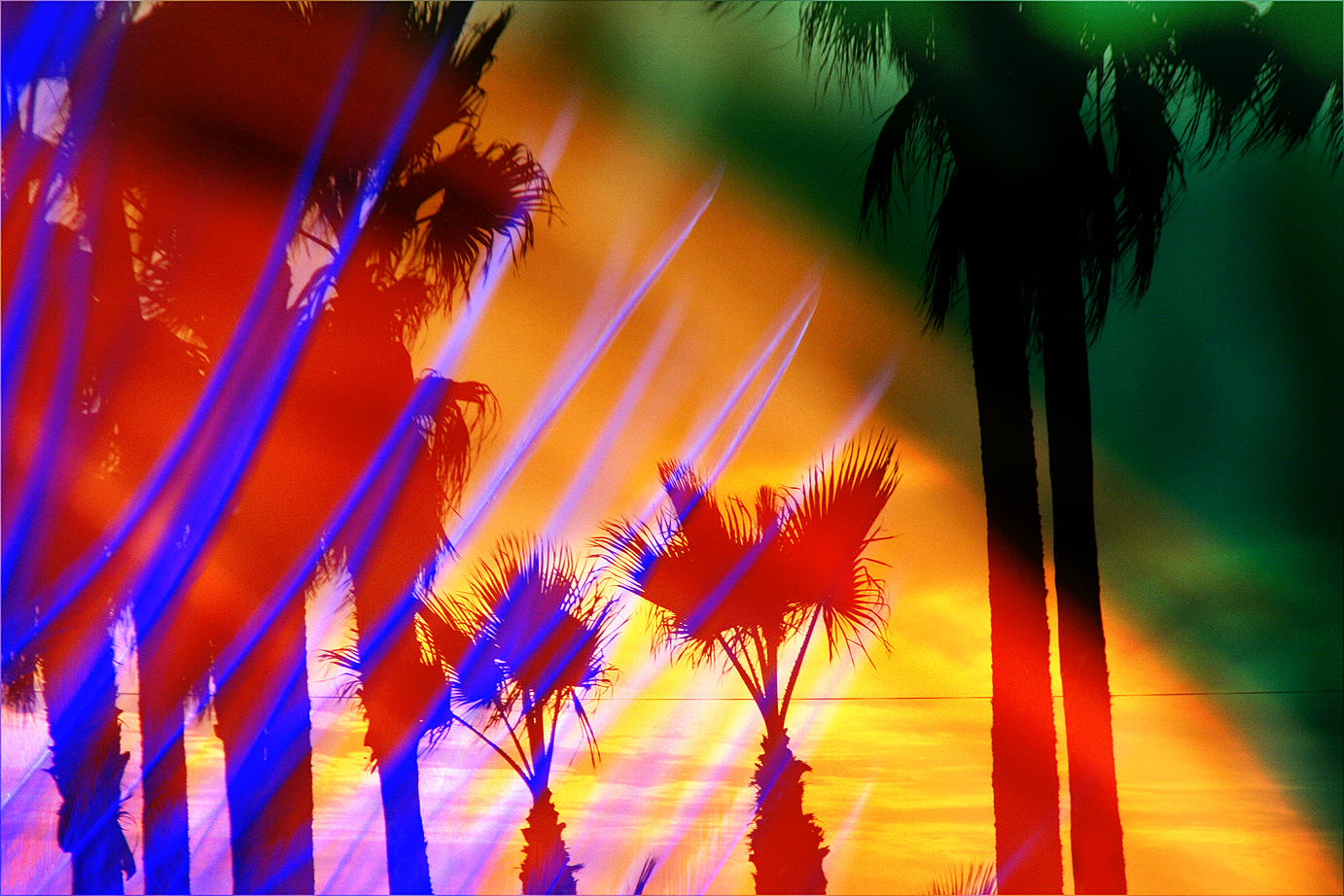 Venice Beach in my dreams