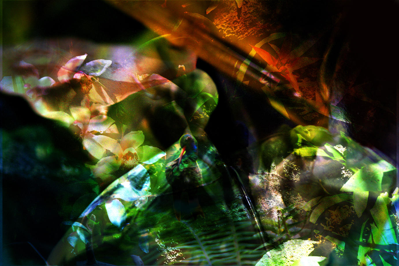 glimmers of meaning