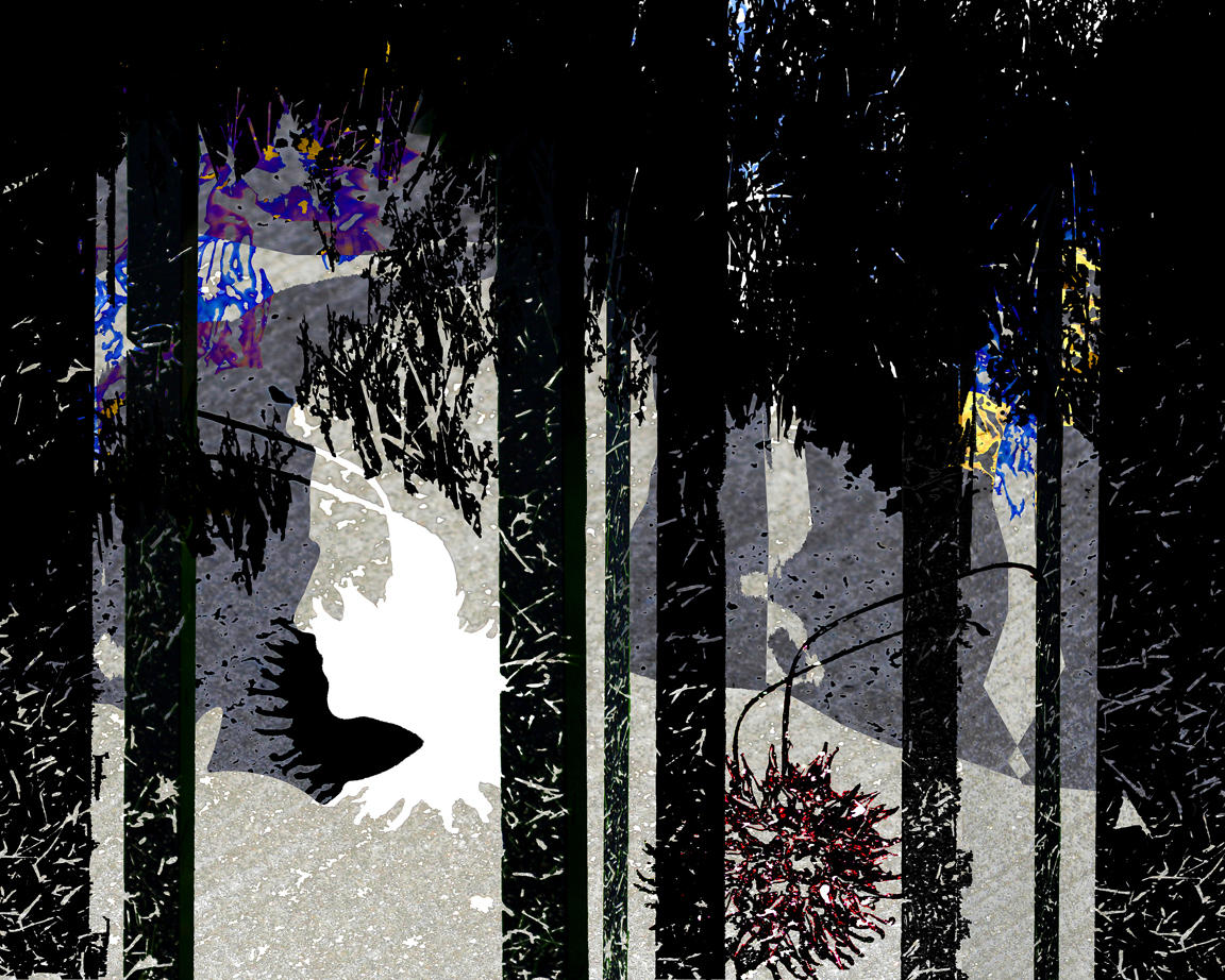 Forest idyll (sort of)