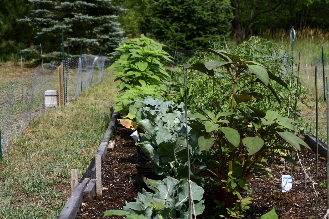 their truck garden