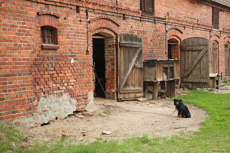 Backyard dvoriče_MG_9387-11.jpg