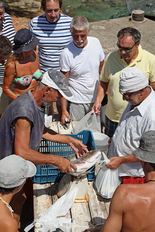 Fish market ribja trnica_MG_0268-11.jpg