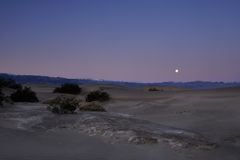 Early Morning at the Dunes