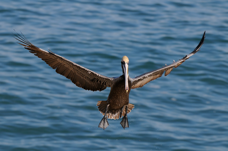 Landing