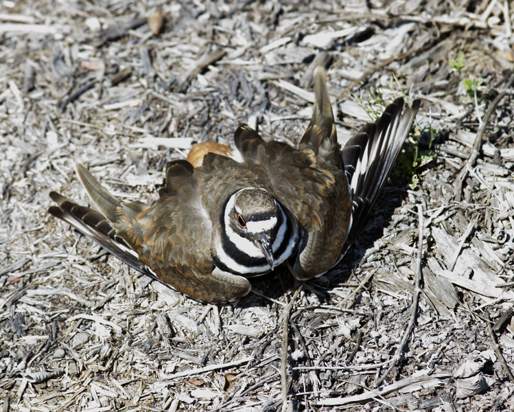 20120418_2142.jpg