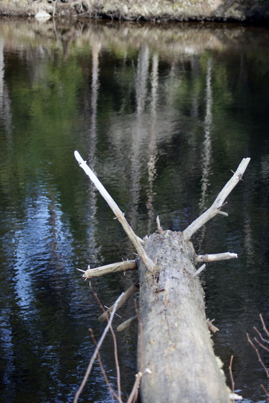 Lake placid 18.JPG