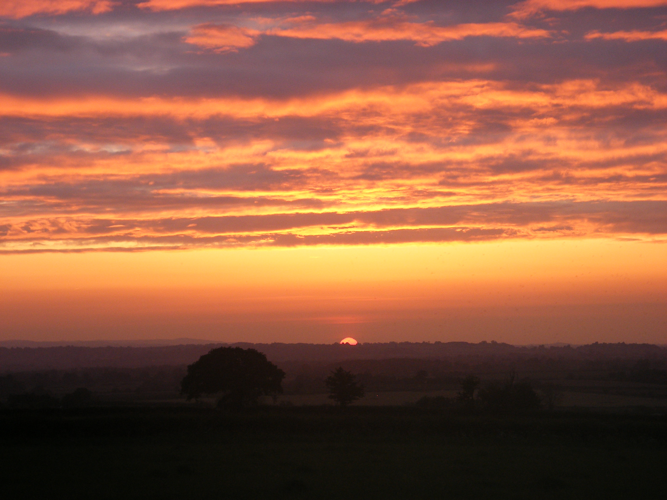 view from my window