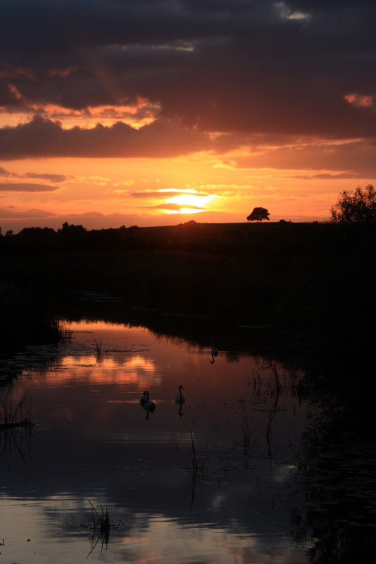 Witcombe river