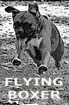 Flyingboxer.jpg