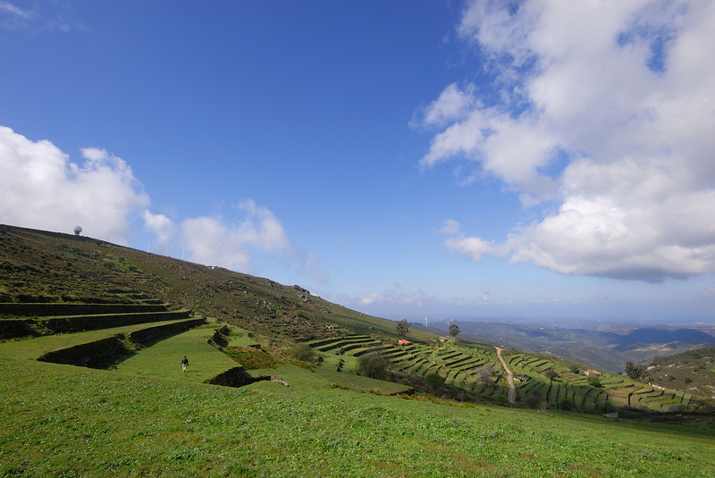 DSC_0095.JPG