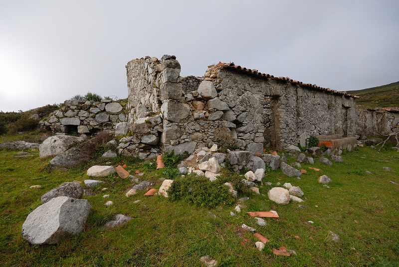 DSC_0099.JPG