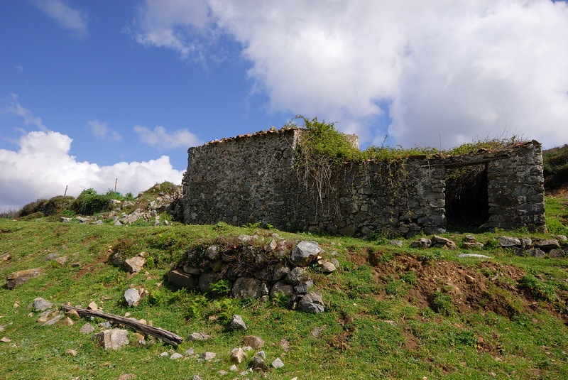 DSC_0118.JPG