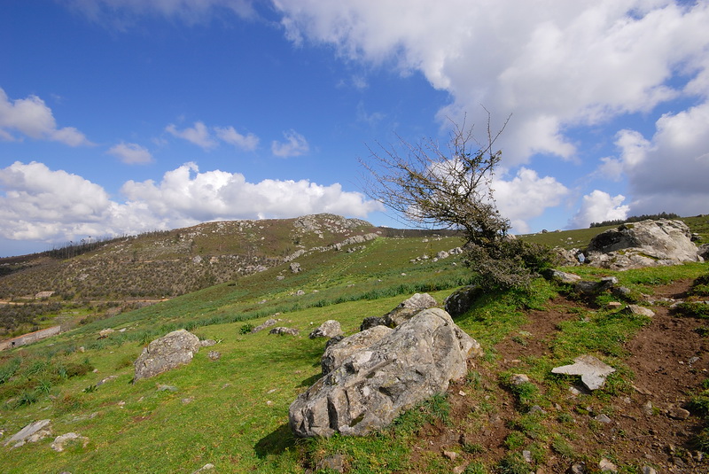 DSC_0121.JPG