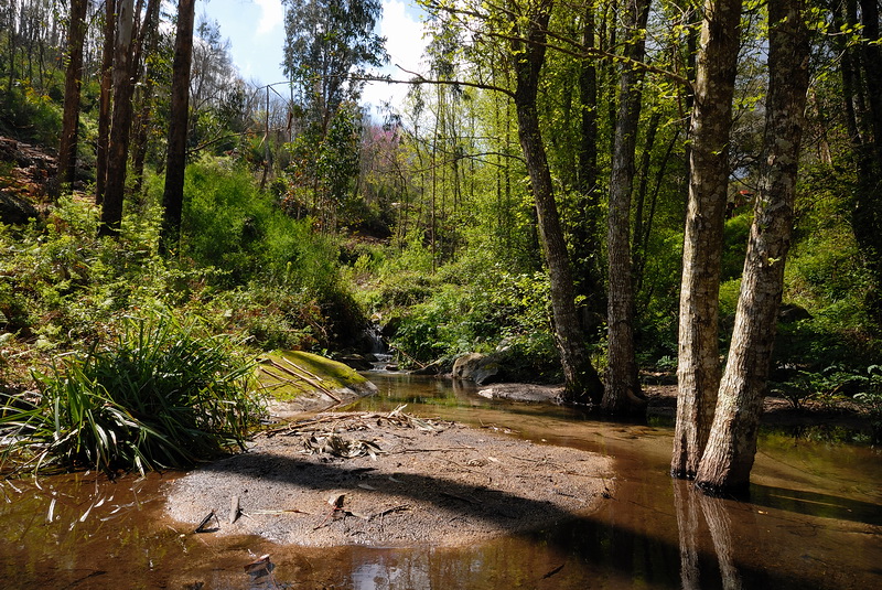 DSC_0130.JPG