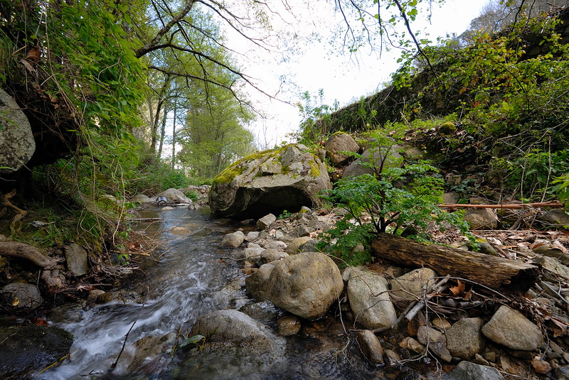 DSC_0149.JPG