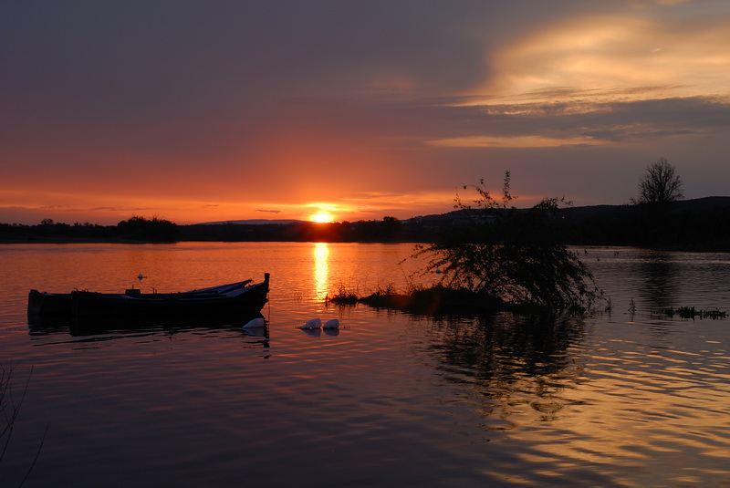 DSC_0014.JPG